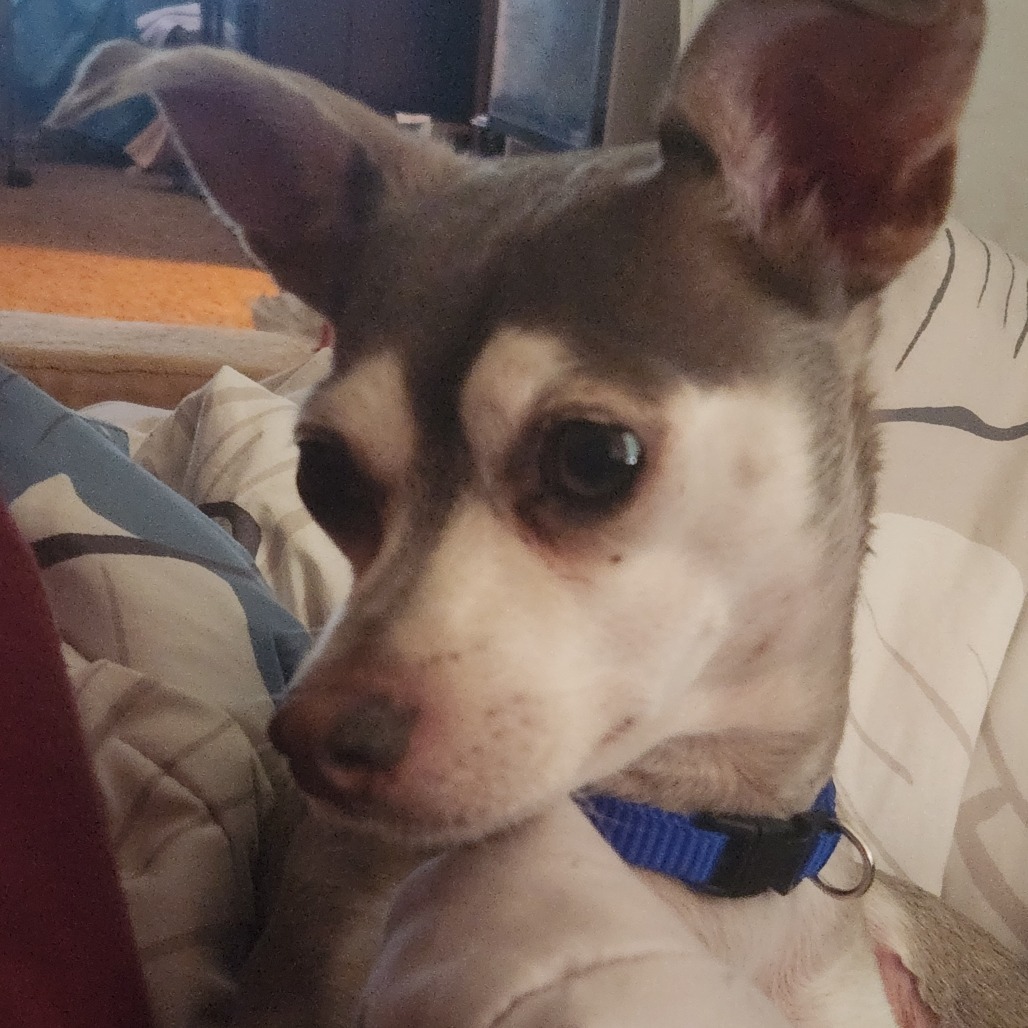 Ryder