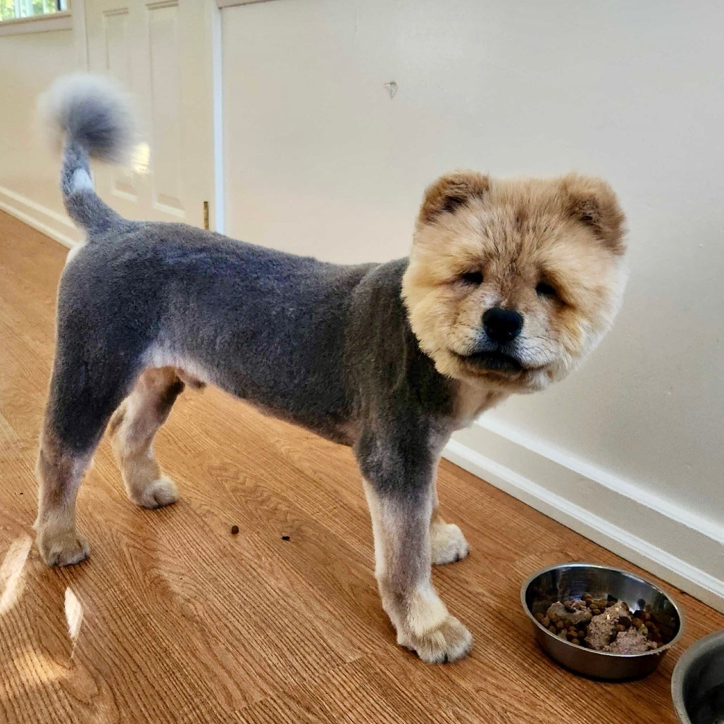 Teddy