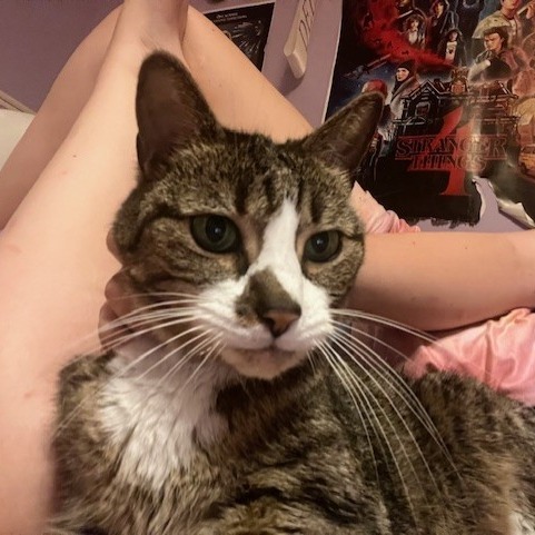 Lucky-IN FOSTER