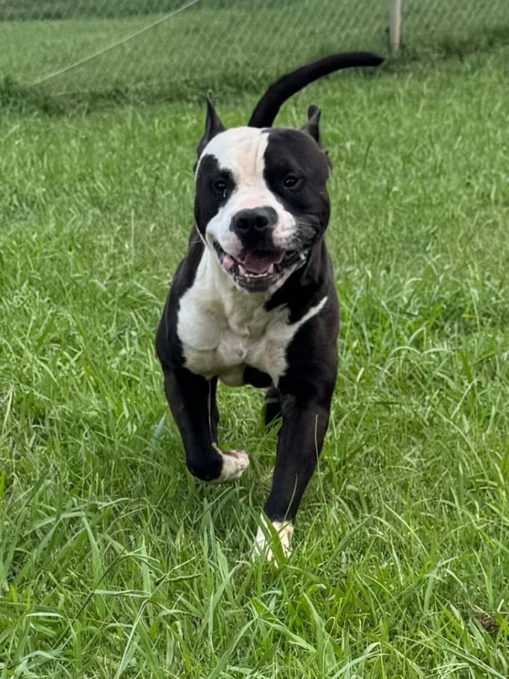 Wally 1