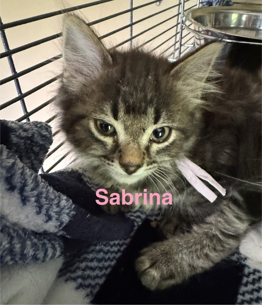 Sabrina