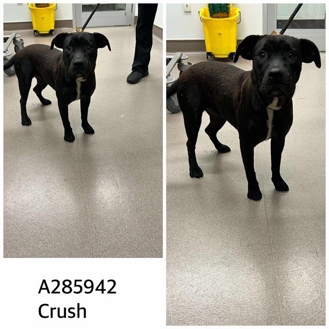 CRUSH