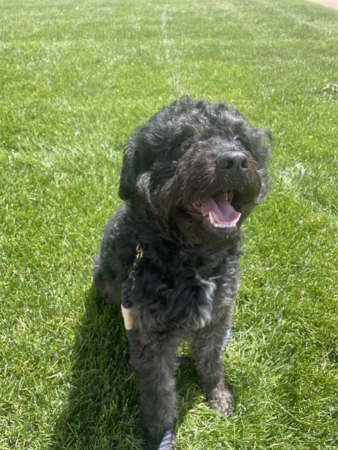 BERNIE