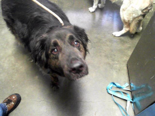 SAMPSON