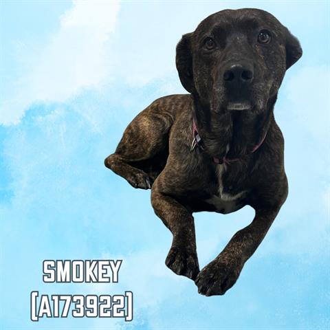 SMOKEY