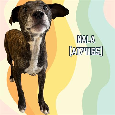 NALA