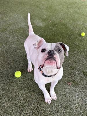 Hi Im Blair A2697647 Im a shy sensitive girl who just needs a little time and patience to feel