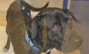 Hi Im Leon I am shy but sweet and I would love to meet you