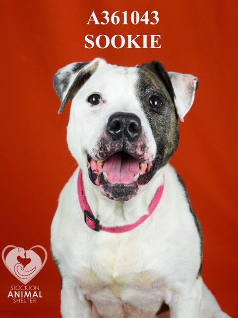 SOOKIE