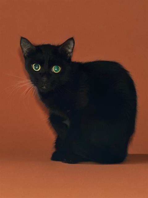 SALEM