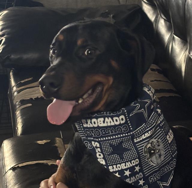 ZEUS