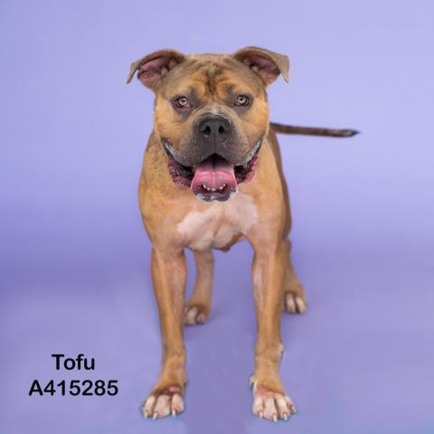 TOFU