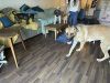 Rigby photo 3