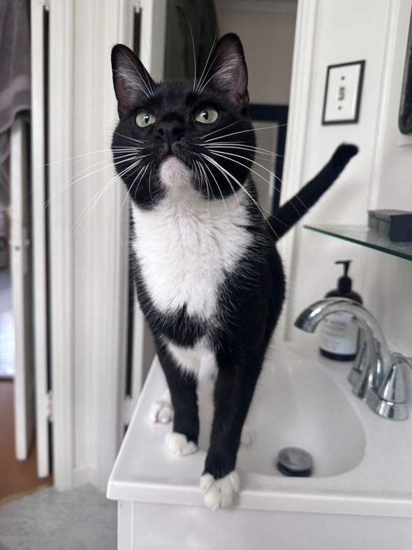 Taki