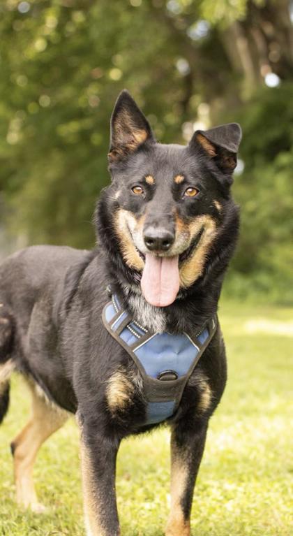 Max