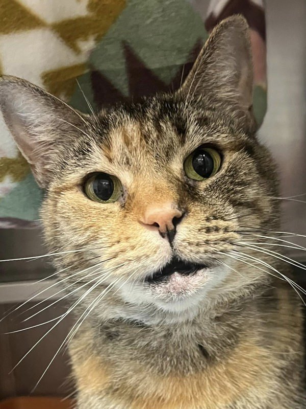 Mimi