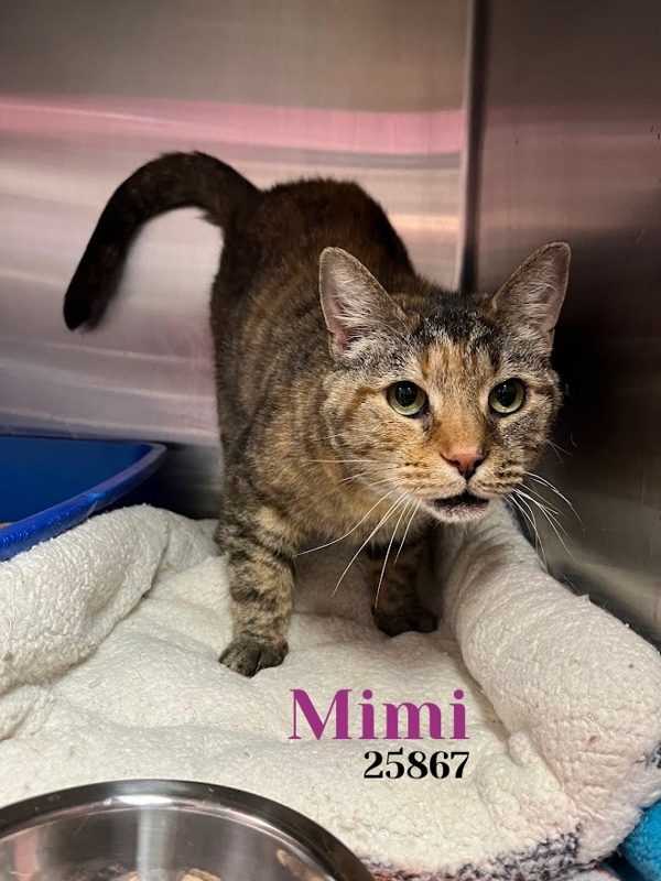 Mimi