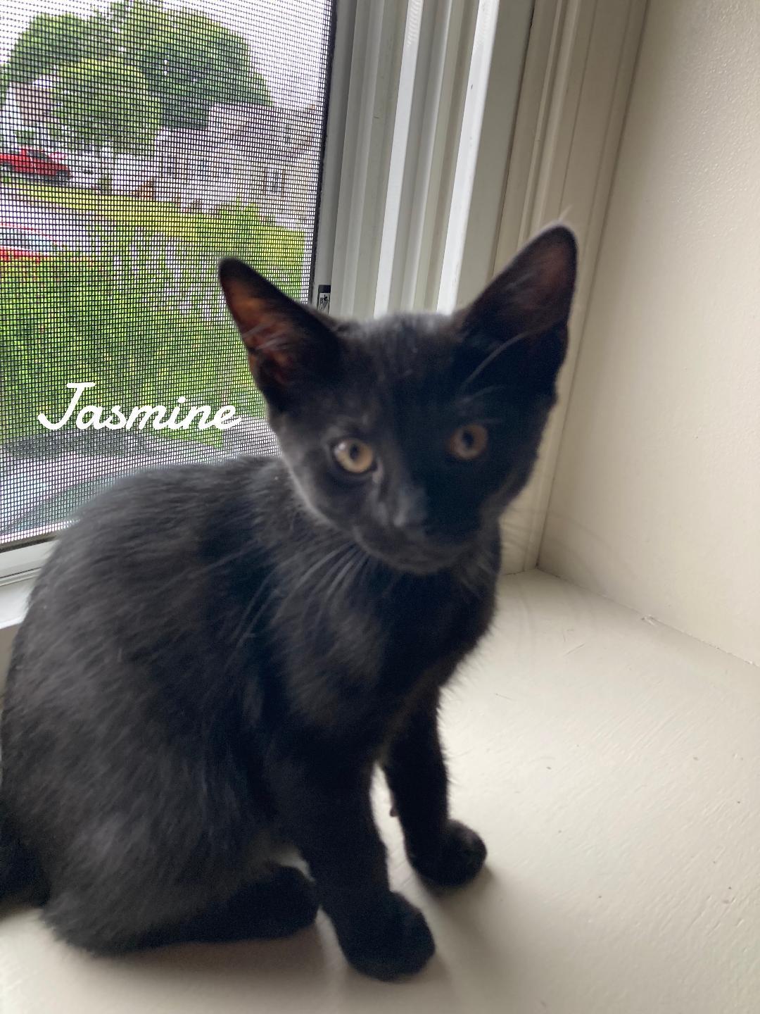 Jasmine born 3/19/25
