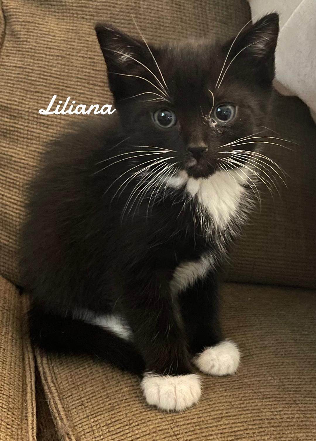 Lilliana Born 3/19/25