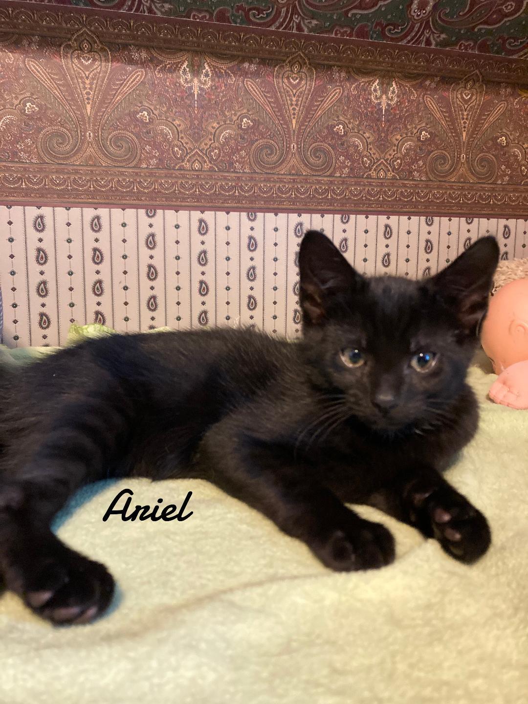 Ariel Born 3/19/25