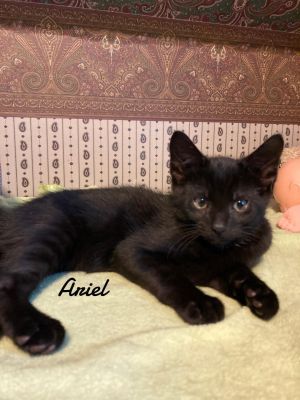 Ariel Born 3/19/25, Baby Female unknown