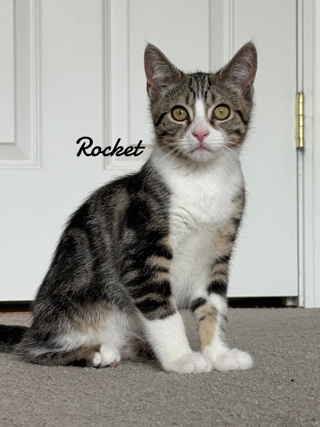 Rocket born 2/21/25