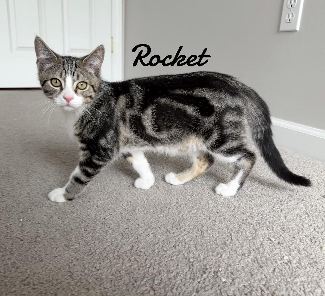 Rocket born 2/21/25