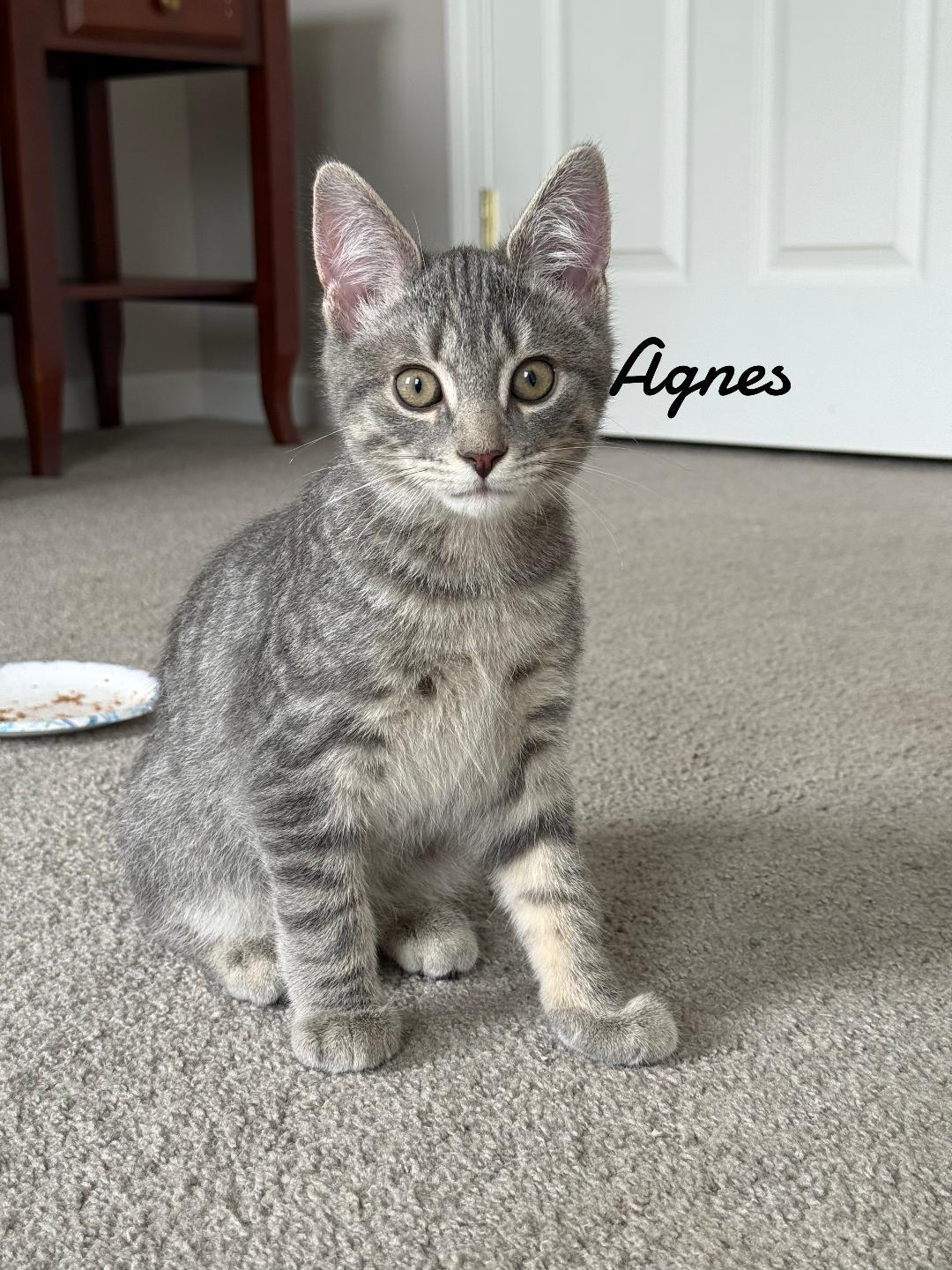 Agnes born 2/21/25