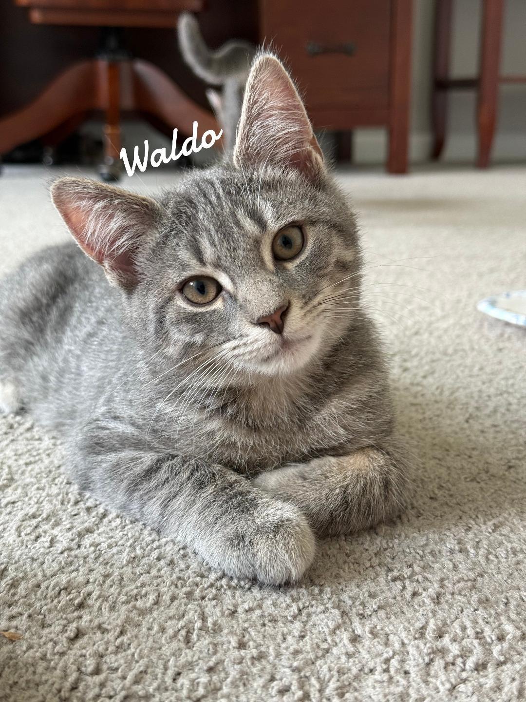 Waldo born 2/21/25
