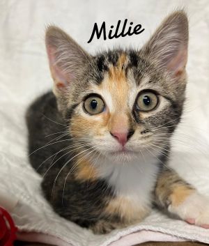 Millie Born 3/25/25, Baby Female unknown