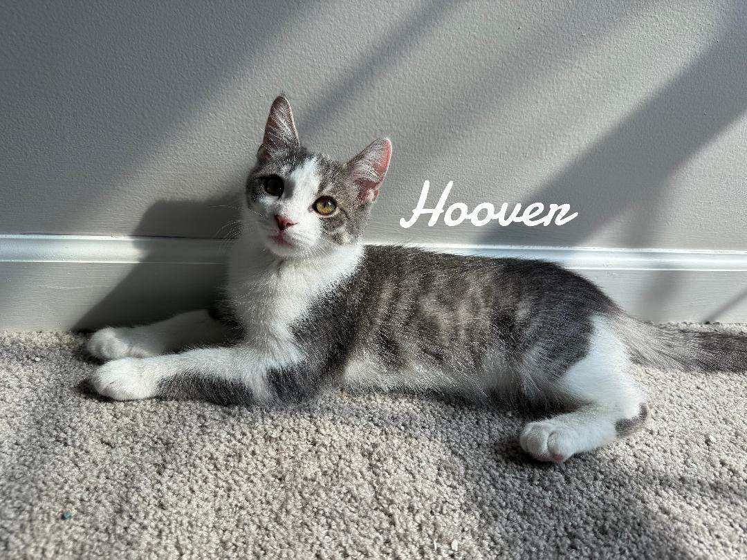Hoover born 2/21/25