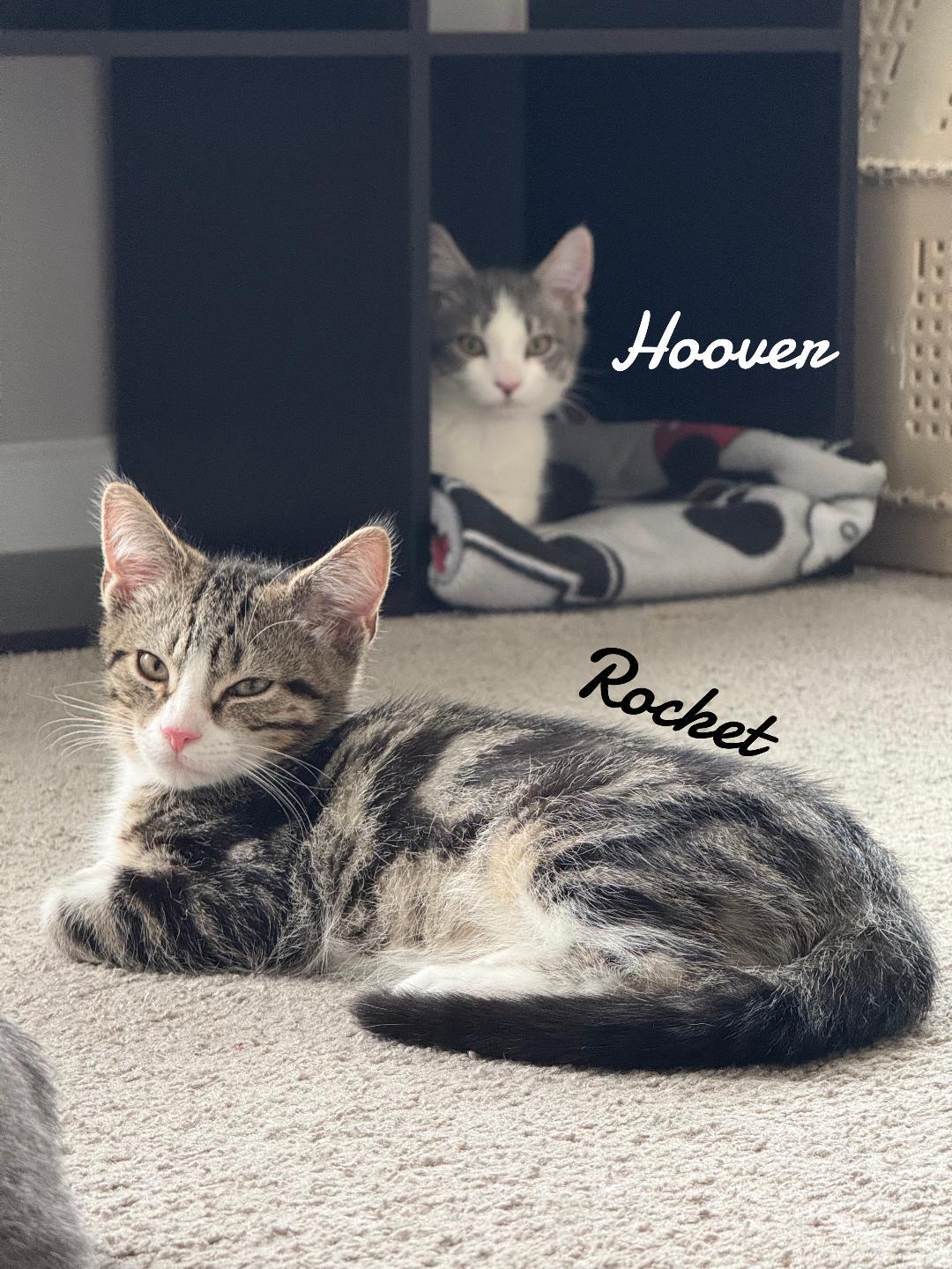 Hoover born 2/21/25