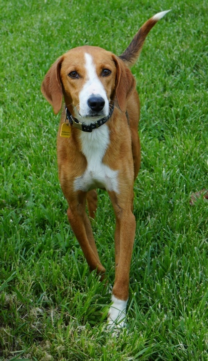 Jack