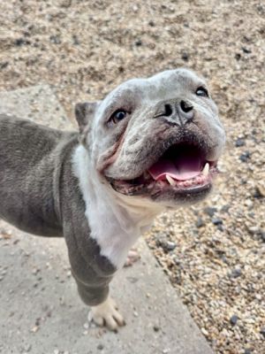 Hello Im Folly Im a sweet mature lady with a heart full of love to give My days are filled