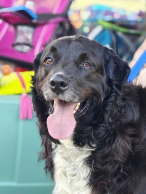 Hank, Senior Male unknown