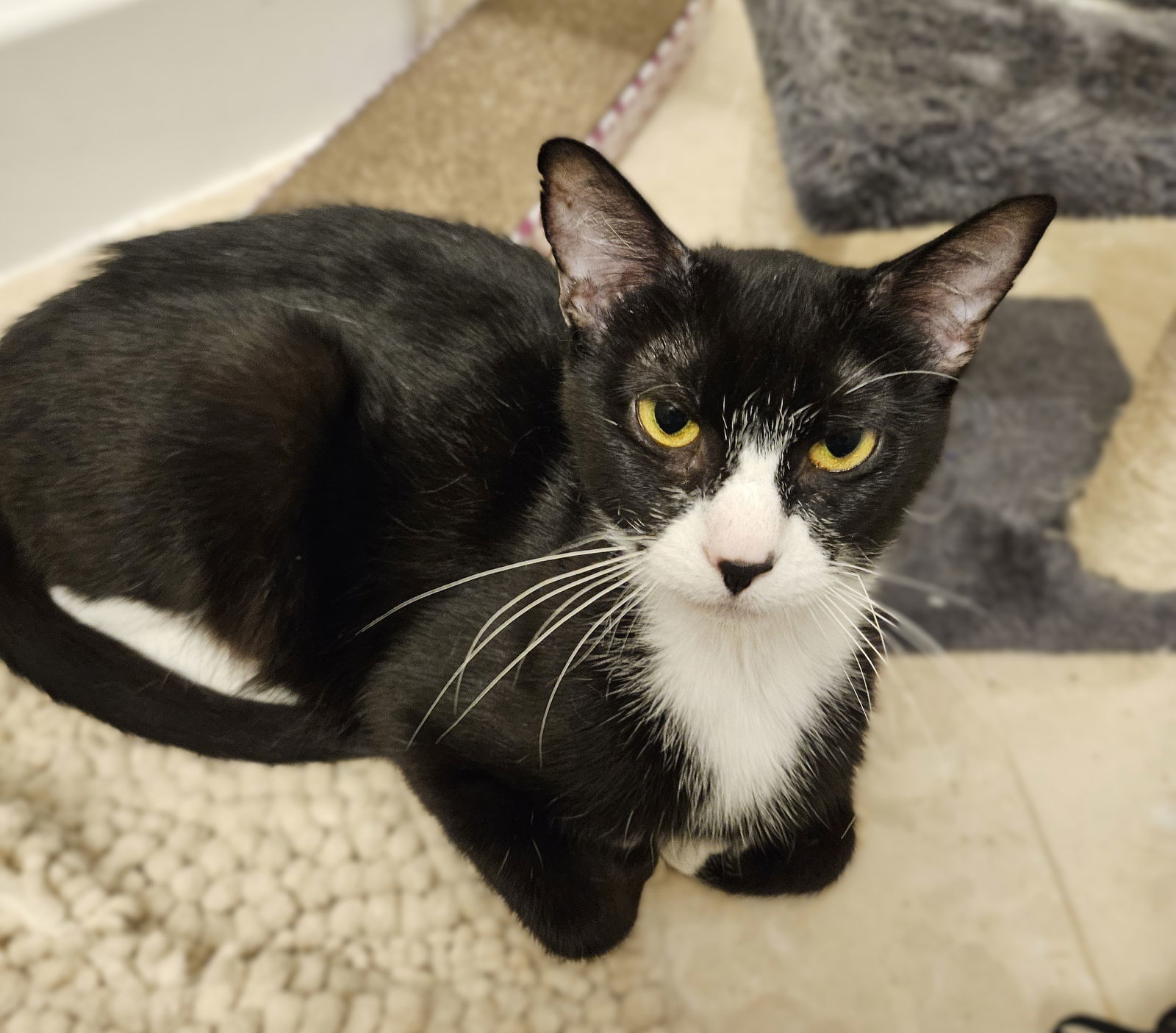 Mittens