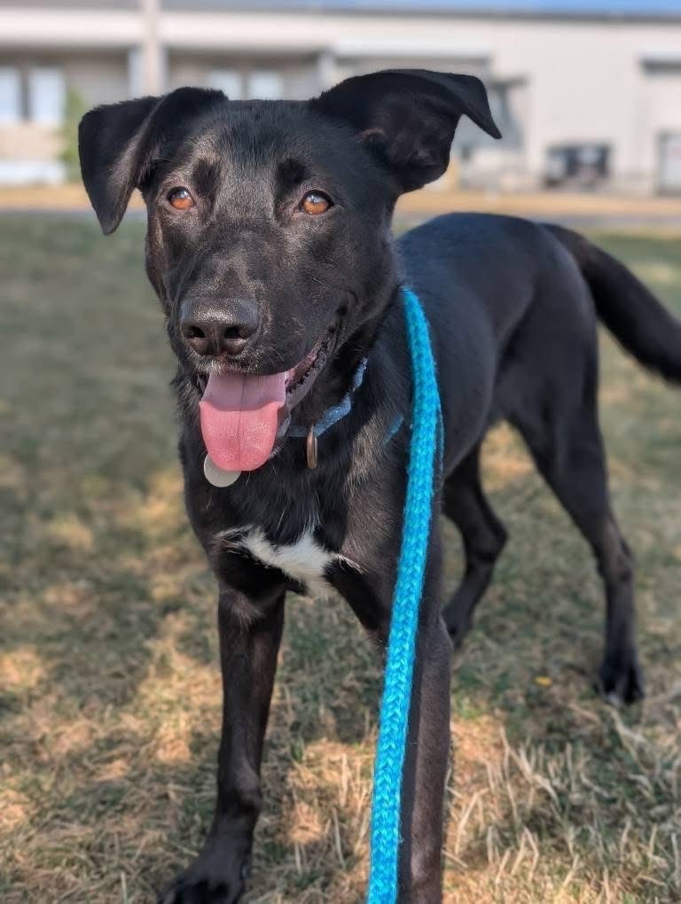 Max