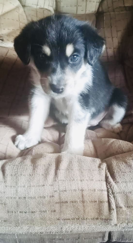 Hazel Marie