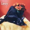 Levy photo 2