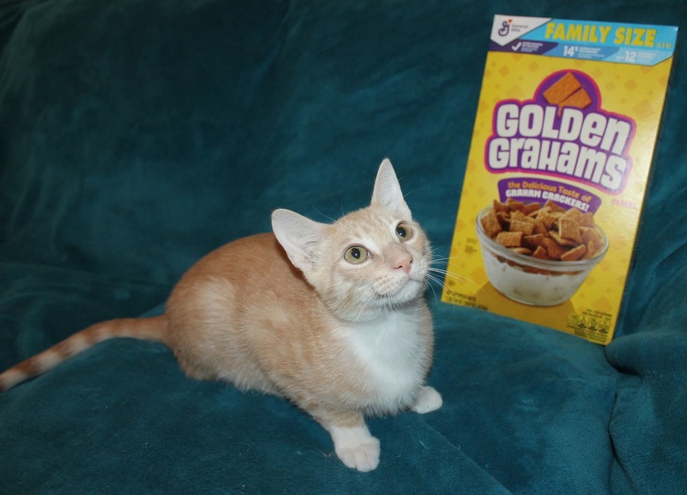 Golden Grahams