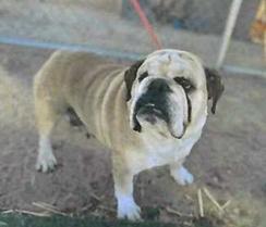 Galinda (A114109)
