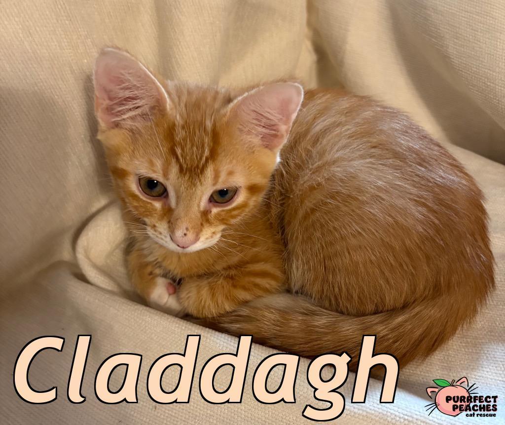Claddagh