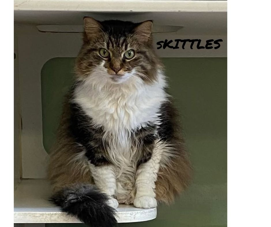 Skittles