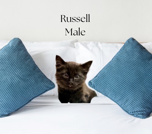 Russell