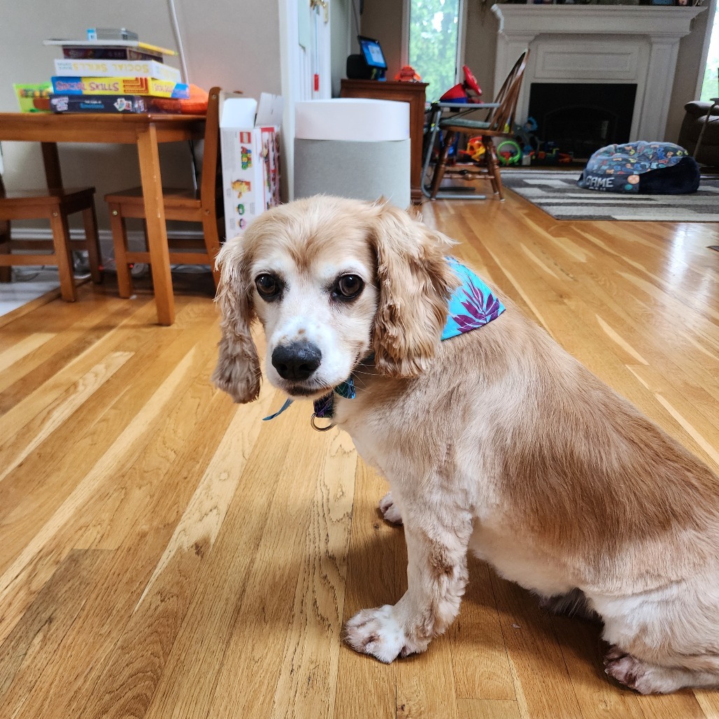 Delilah
