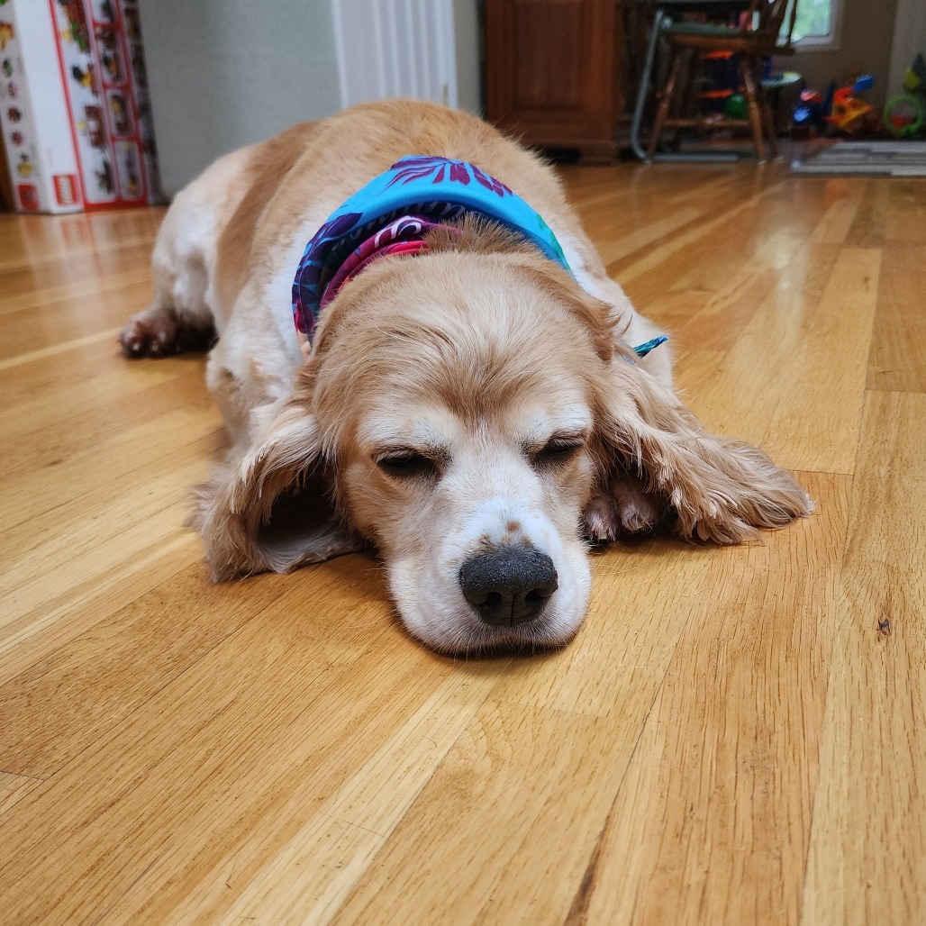 Delilah