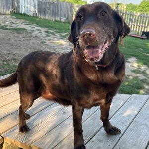 Miss Ellie May, Senior Female unknown