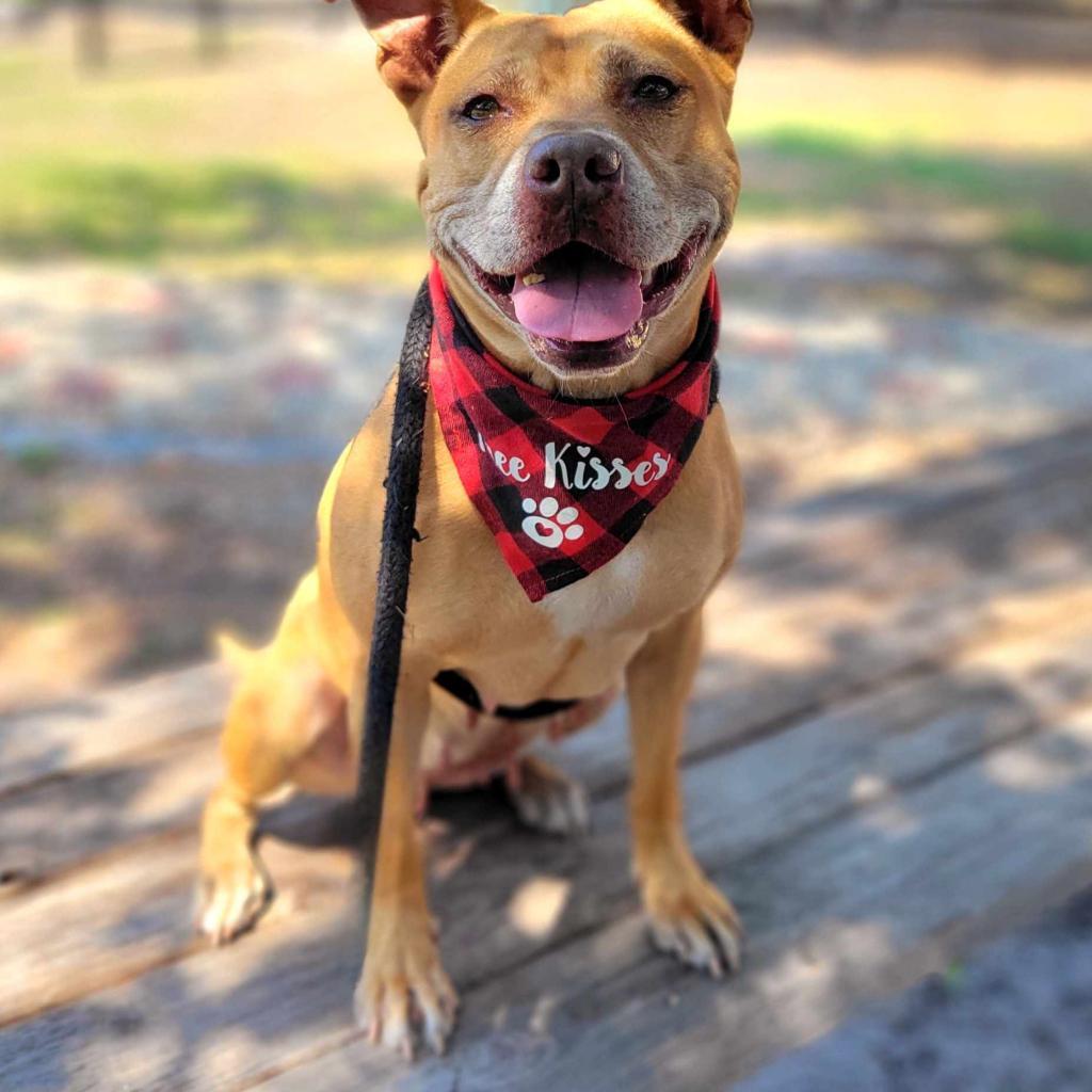 Gwen