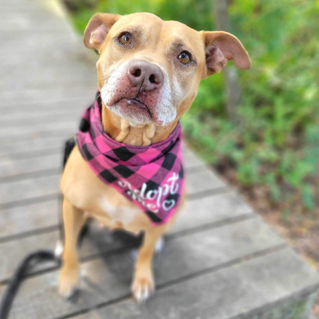 Gwen