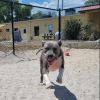 Quincy photo 5